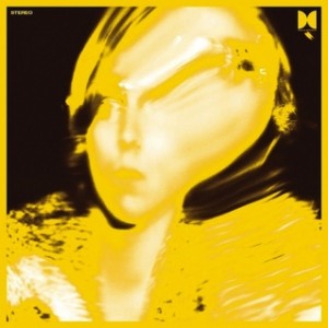ty_segall_twins